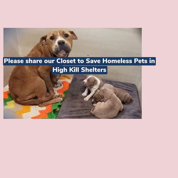 ST FRANCIS NECKLACE &CARDS SAVES PETS IN HIGH KILL S… - Picture 6 of 9